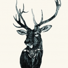 皇蛾與鹿  2012  紙凹版 112x77cm-大美無言藝術空間